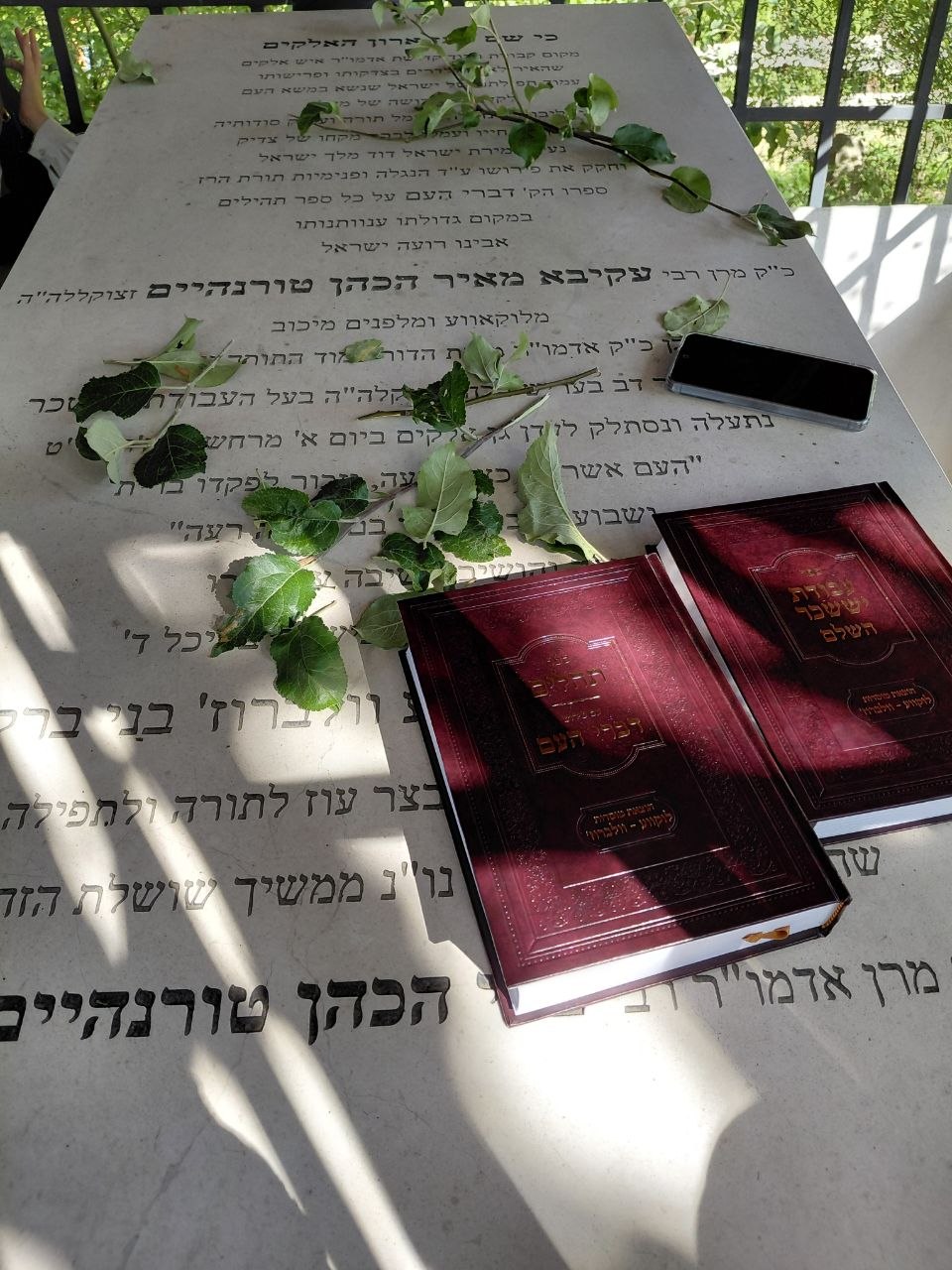 מסע עם הרבנית