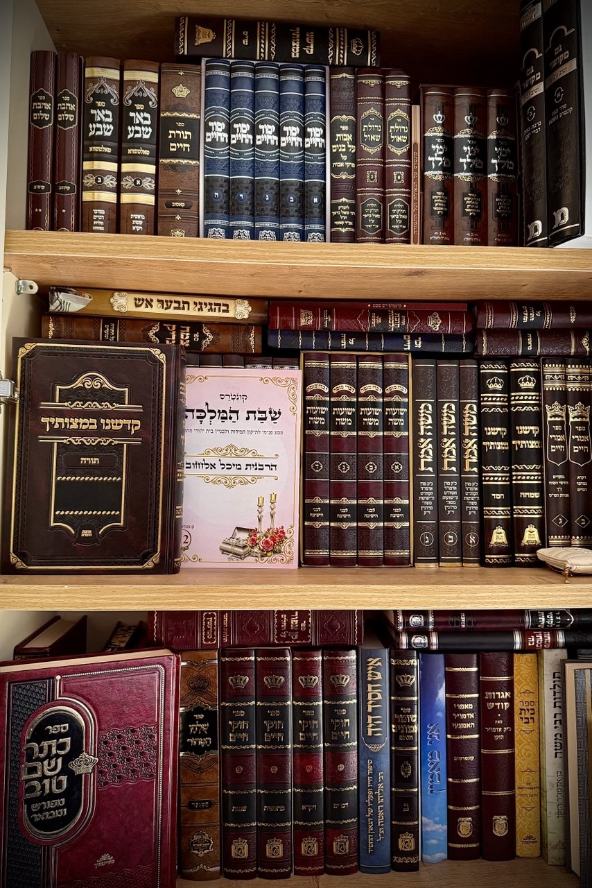 מיכל אלחזוב